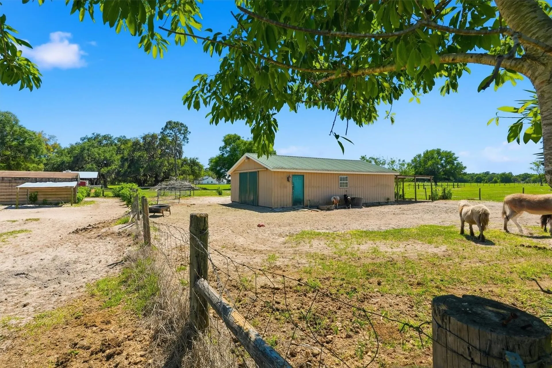 12764 County Road 223 Oxford FL 34484
