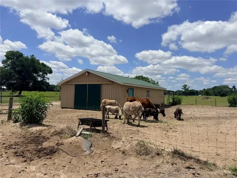 12764 County Road 223 Oxford FL 34484