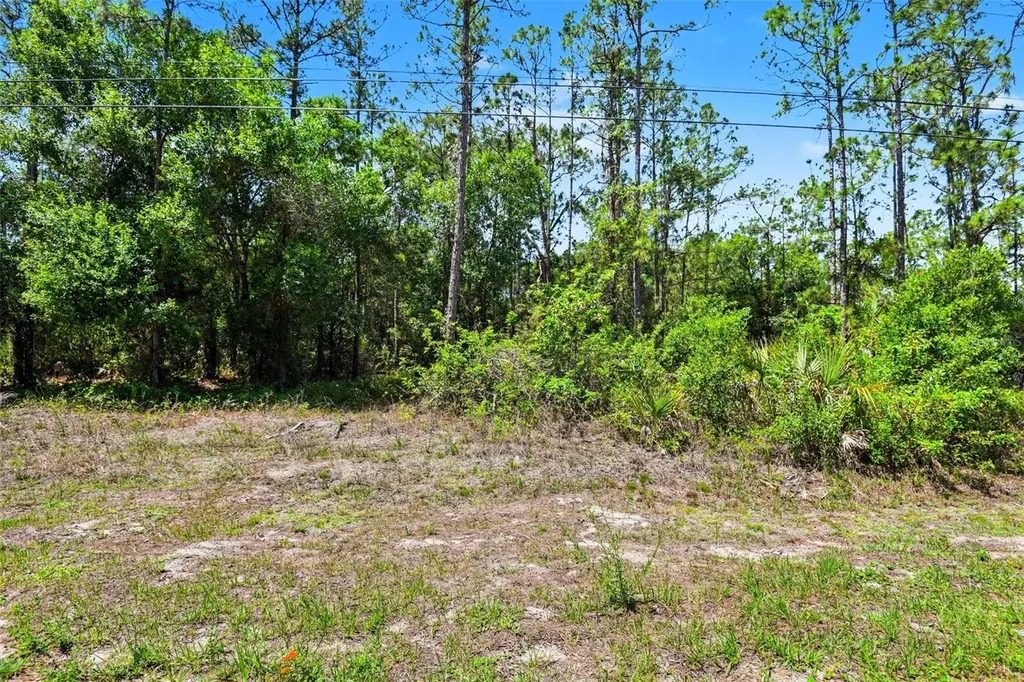711 Wellington Avenue Lehigh Acres FL 33972