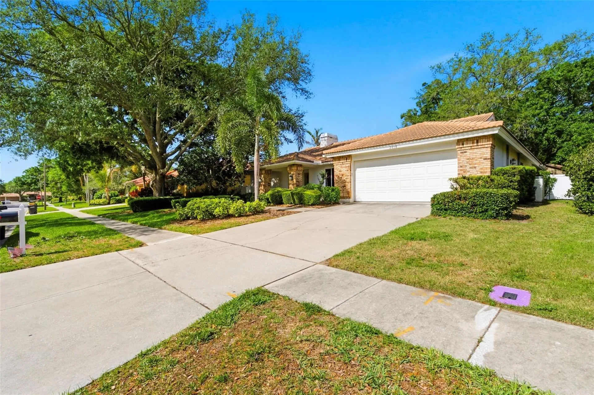 2418 Anthony Avenue Clearwater FL 33759