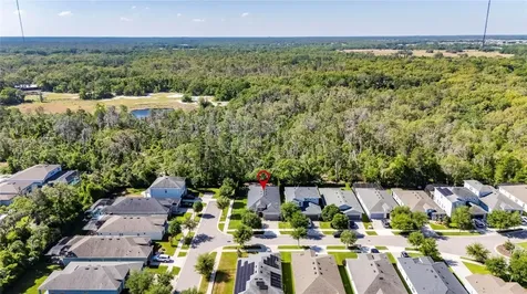14121 Carissa Meadows Court Riverview FL 33569