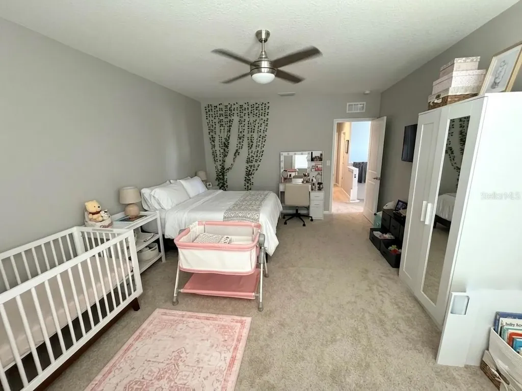 16910 Oval Rum Drive Wimauma FL 33598