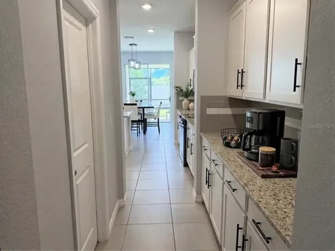 16910 Oval Rum Drive Wimauma FL 33598