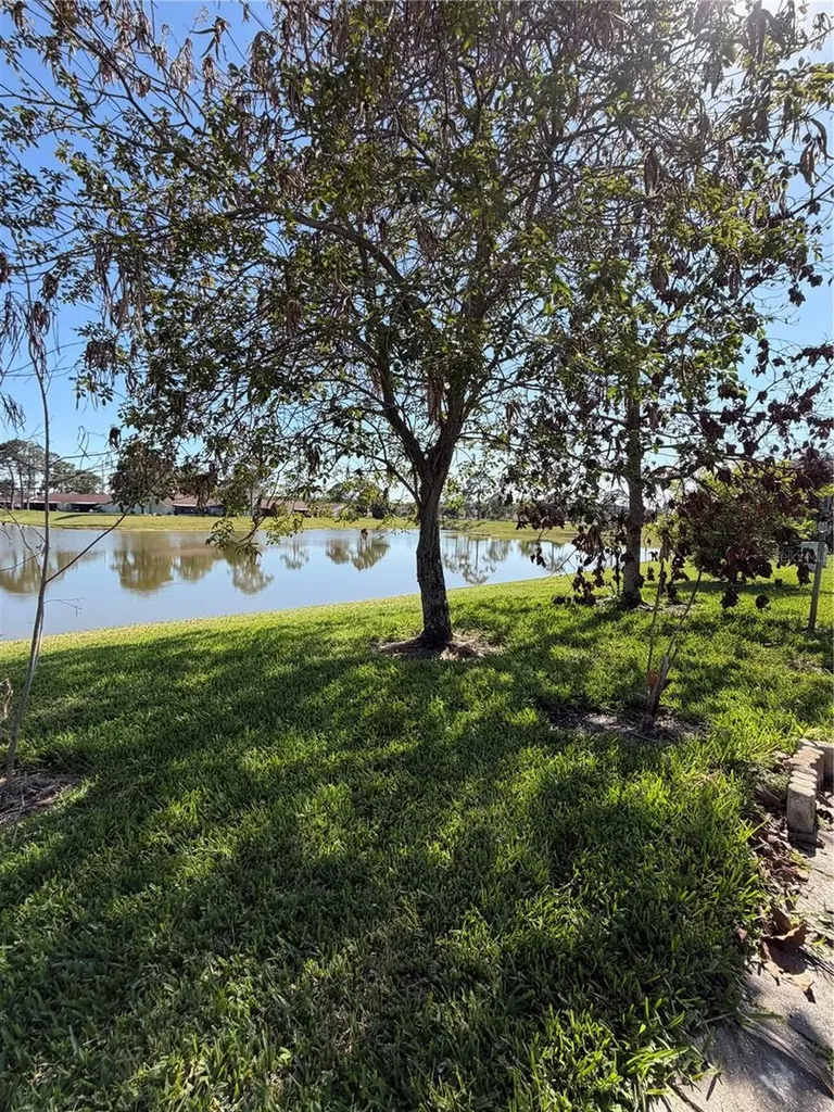 36 Lakepointe Circle Kissimmee FL 34743