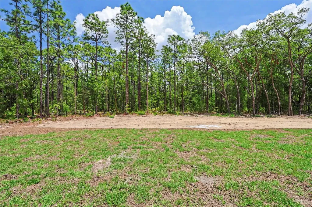 6397 SW 135th Terrace Road Ocala FL 34481