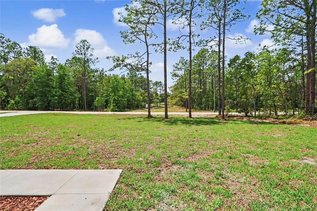 6397 SW 135th Terrace Road Ocala FL 34481