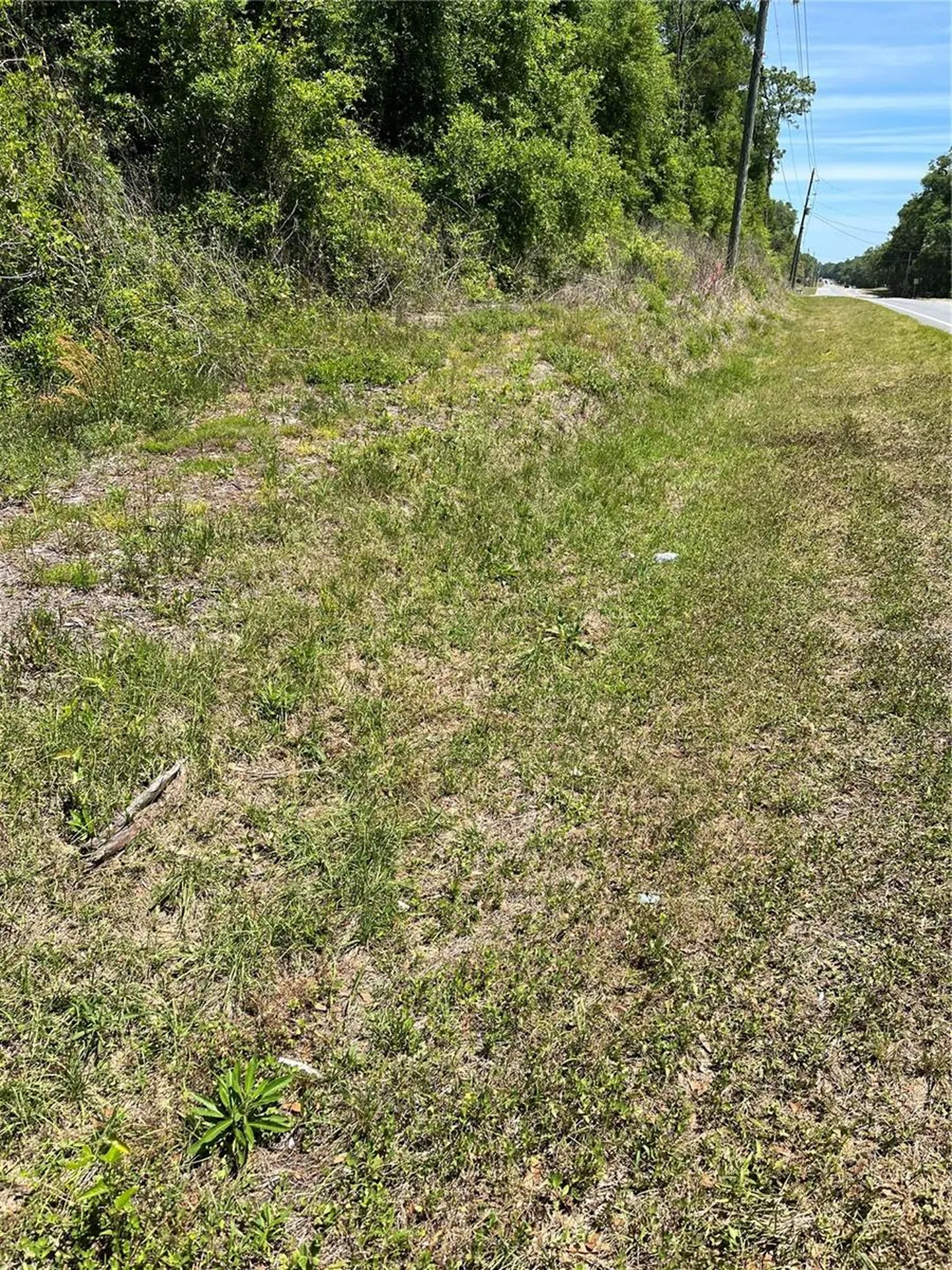 Lot 12 W Highway 40 Ocala FL 34481