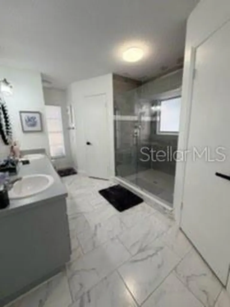 15126 Nighthawk Drive Tampa FL 33625