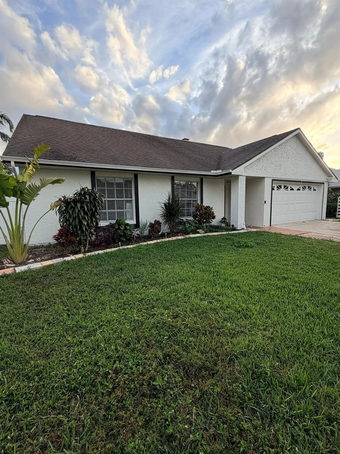 15126 Nighthawk Drive Tampa FL 33625