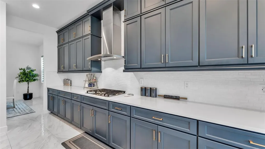 3405 Juniper Springs Street Wesley Chapel FL 33543
