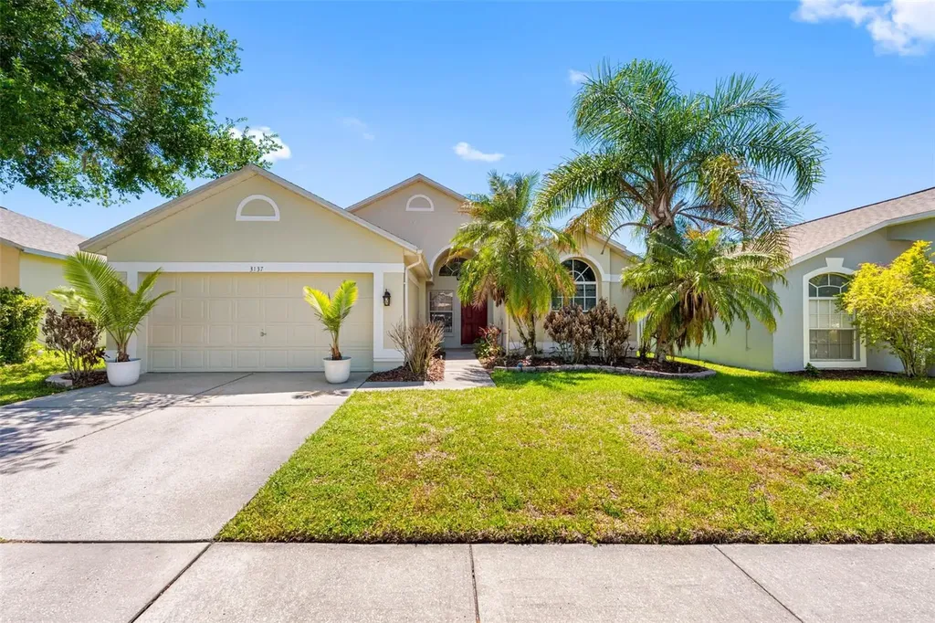 3137 Castle Rock Circle Land O Lakes FL 34639