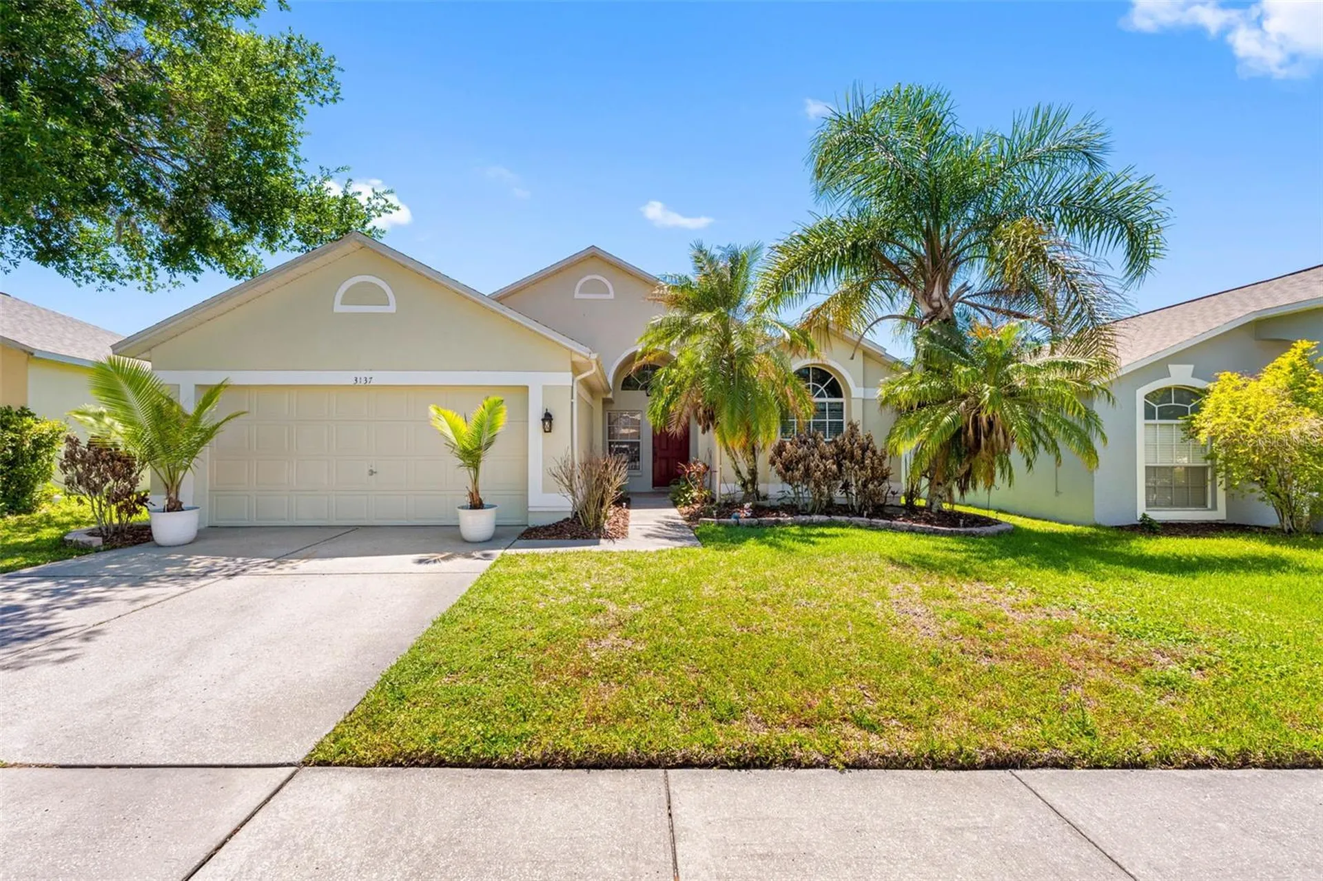 3137 Castle Rock Circle Land O Lakes FL 34639