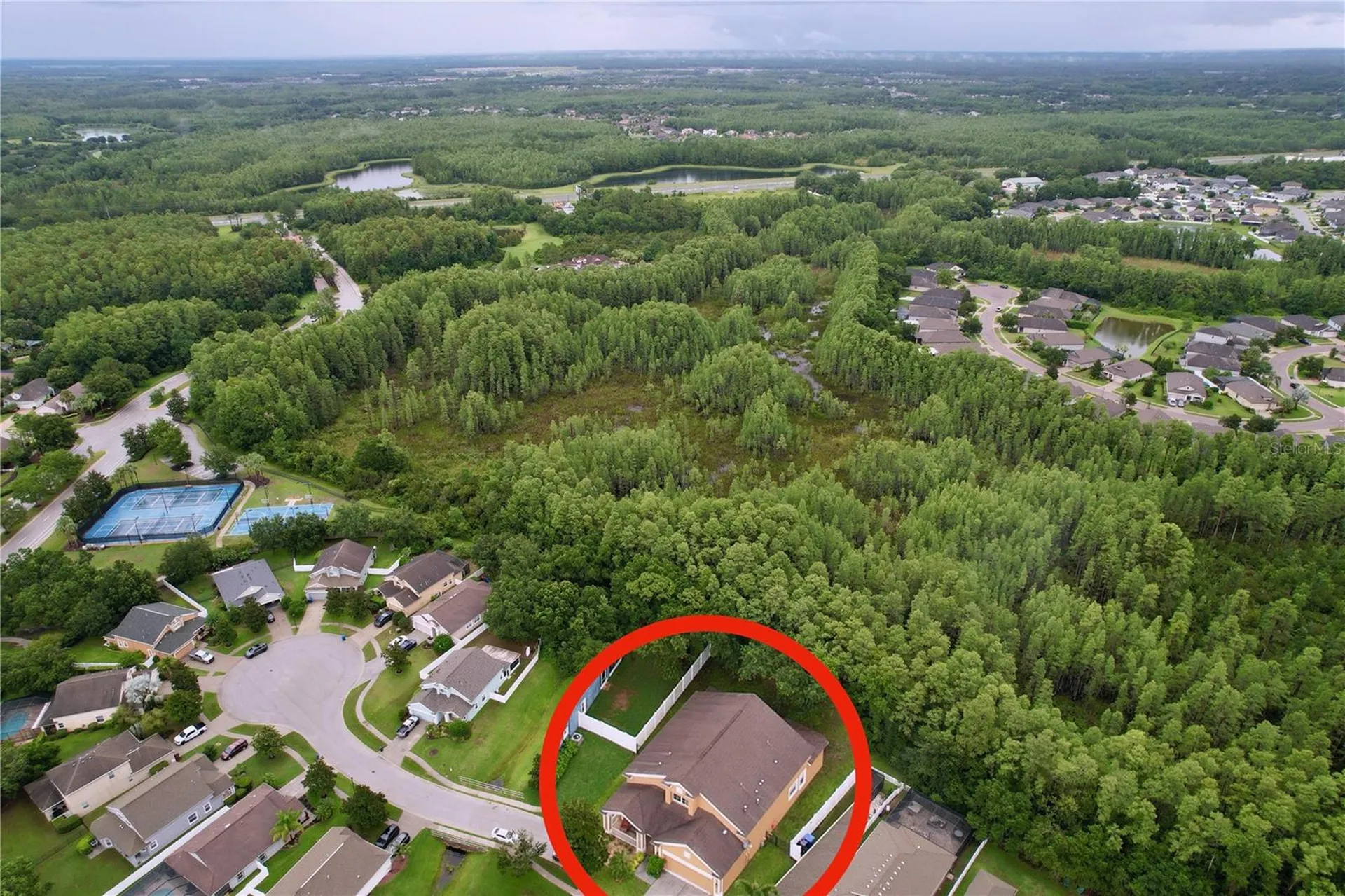 19540 Sunset Bay Drive Land O Lakes FL 34638