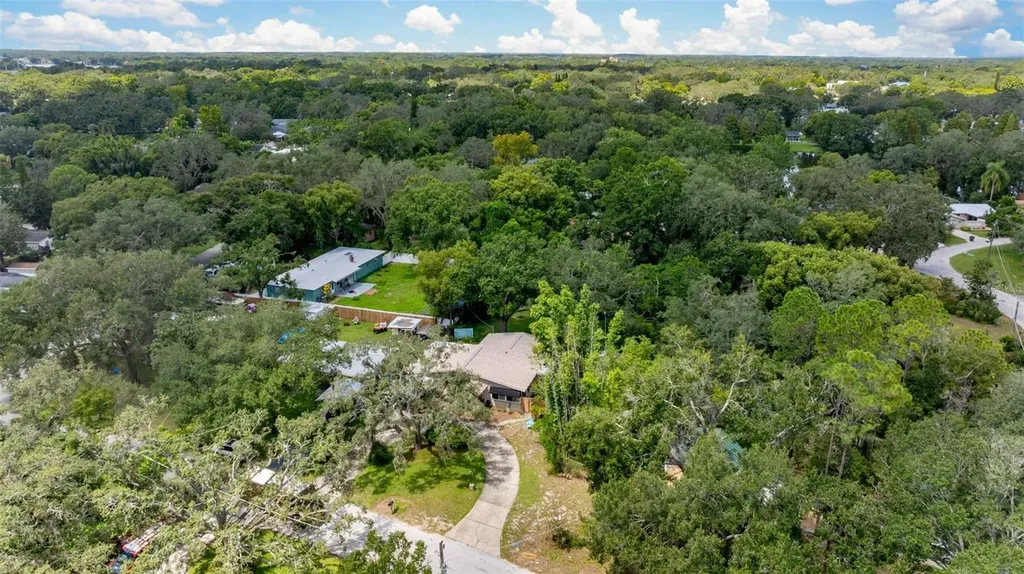 12510 Noreast Lake Drive Tampa FL 33612