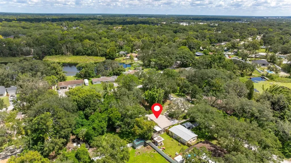 12510 Noreast Lake Drive Tampa FL 33612