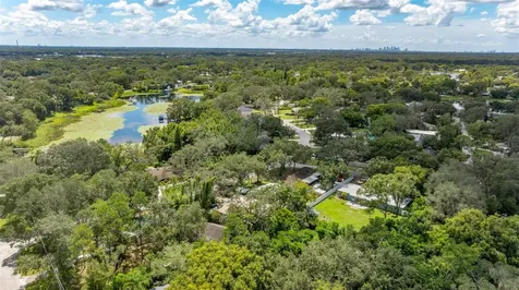 12510 Noreast Lake Drive Tampa FL 33612