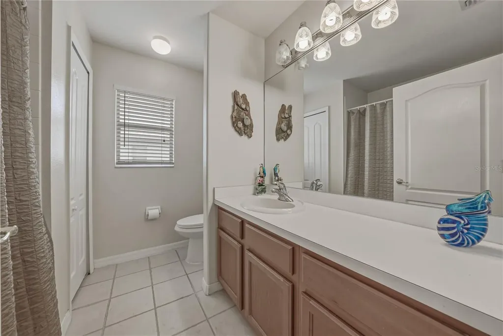 1542 Swamp Rose Lane Trinity FL 34655