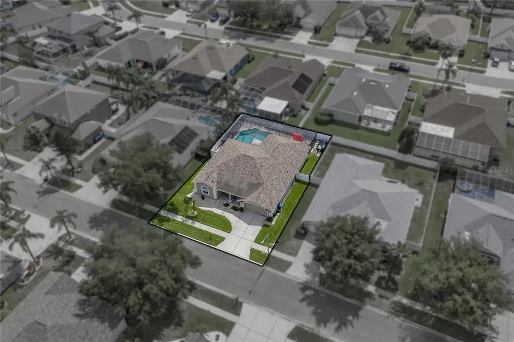1542 Swamp Rose Lane Trinity FL 34655