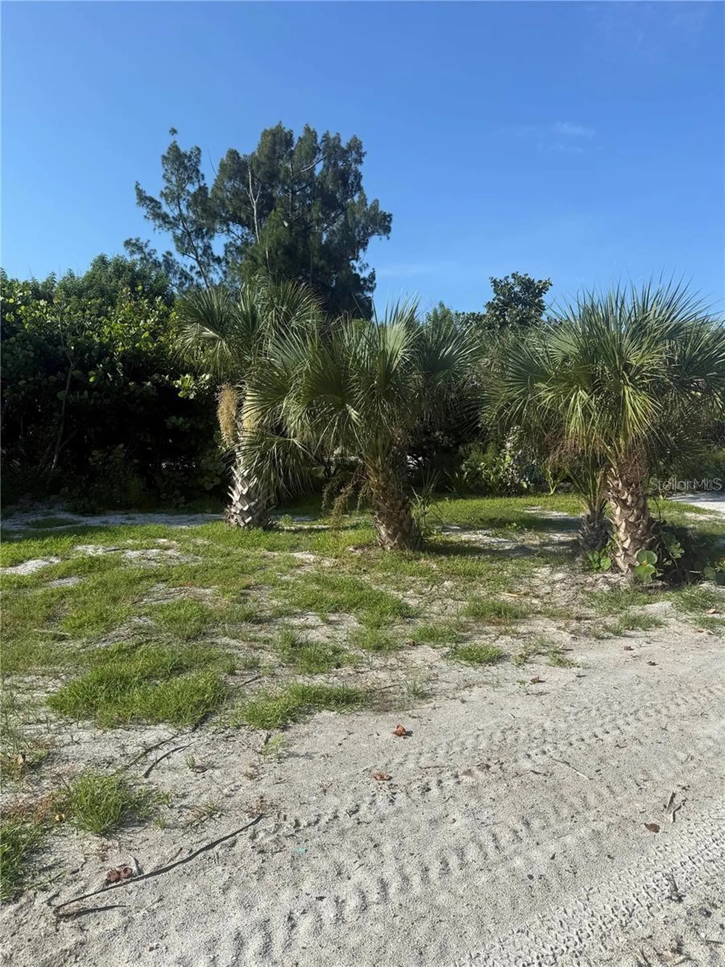 8480 Little Gasparilla Island Placida FL 33946