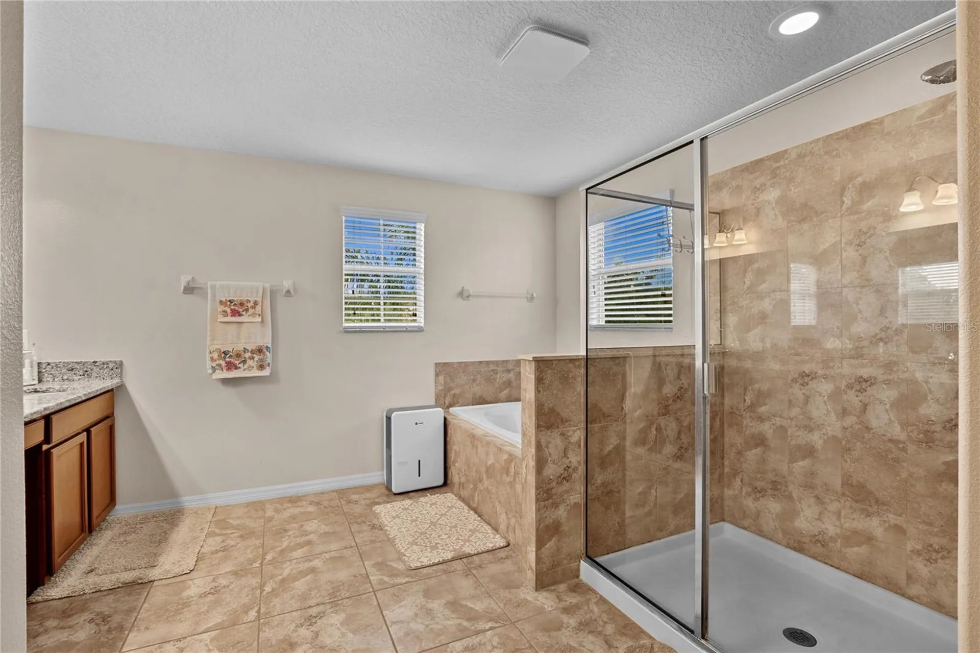 13161 Royal Pines Avenue Riverview FL 33579