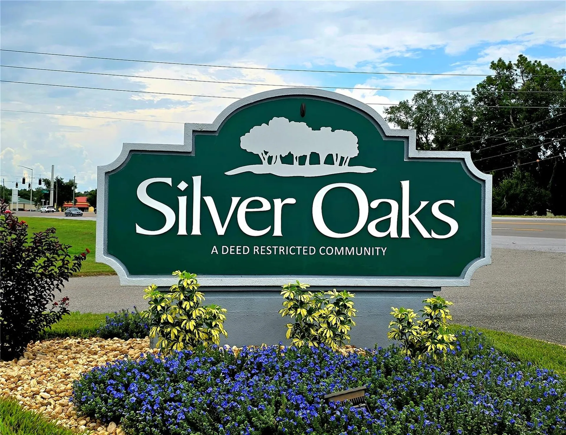 6151 Silver Oaks Drive Zephyrhills FL 33542