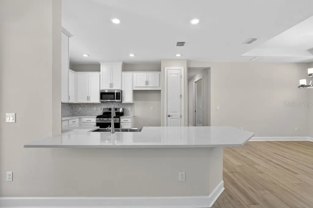 3943 Immacolata Way Wesley Chapel FL 33543