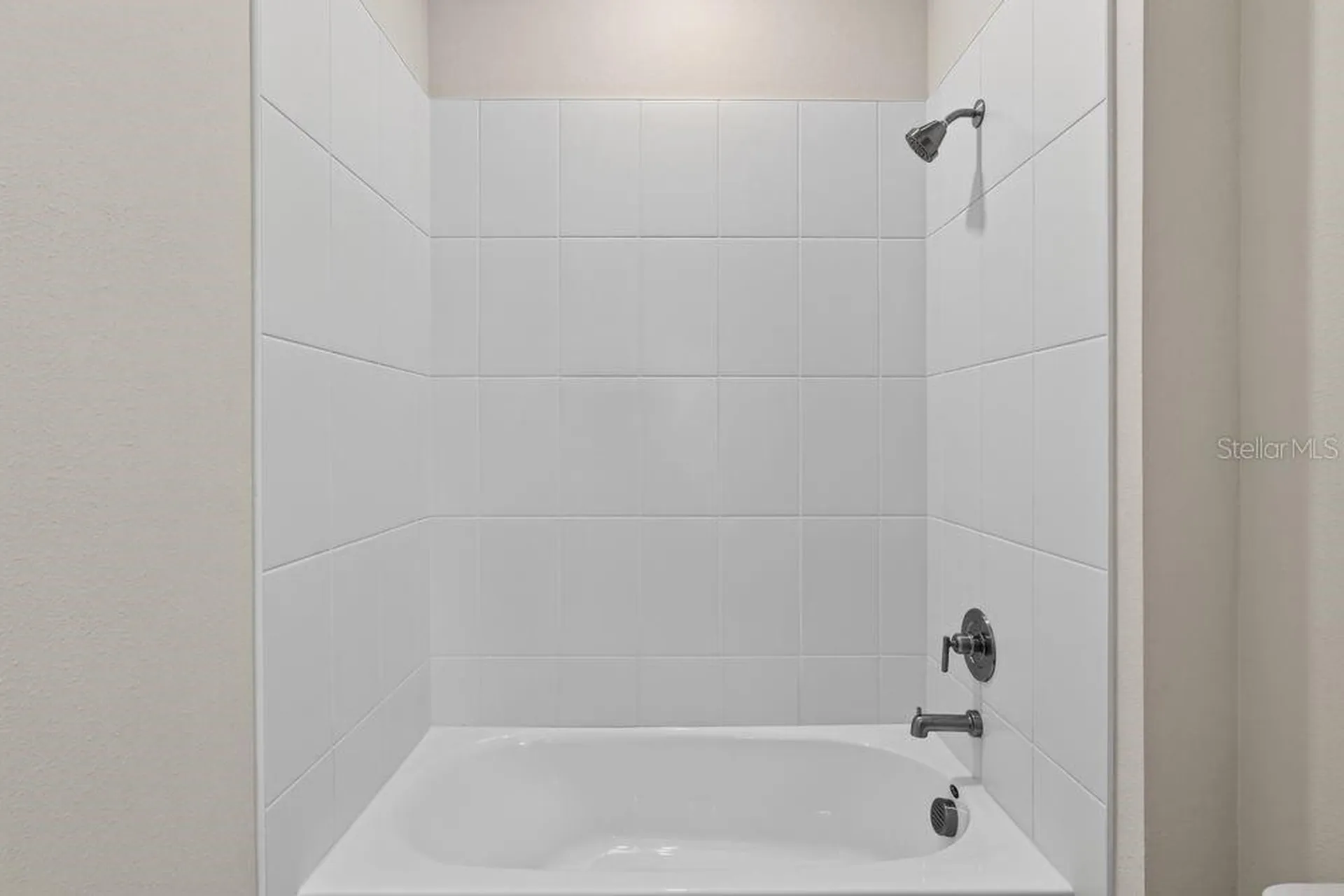 3943 Immacolata Way Wesley Chapel FL 33543