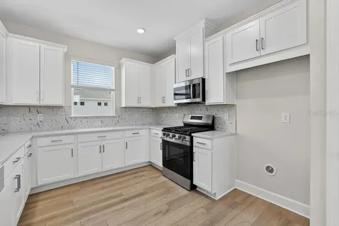 3943 Immacolata Way Wesley Chapel FL 33543