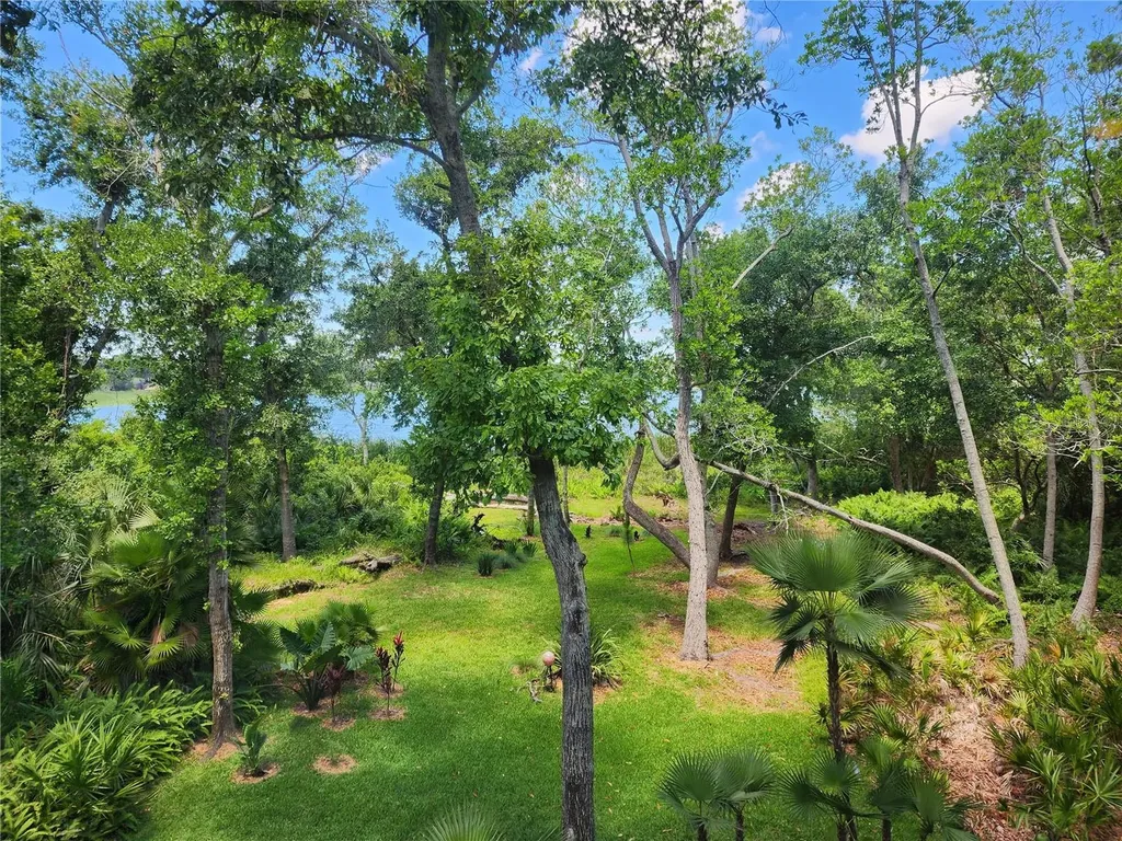 3609 Country Pointe Place Palm Harbor FL 34684