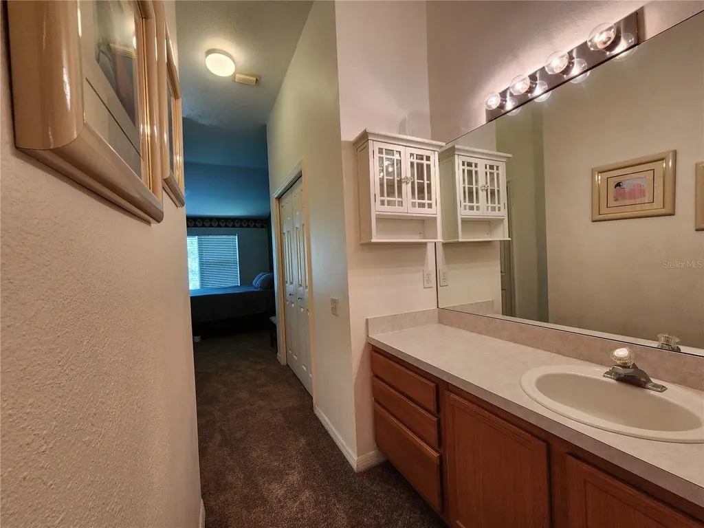 3609 Country Pointe Place Palm Harbor FL 34684