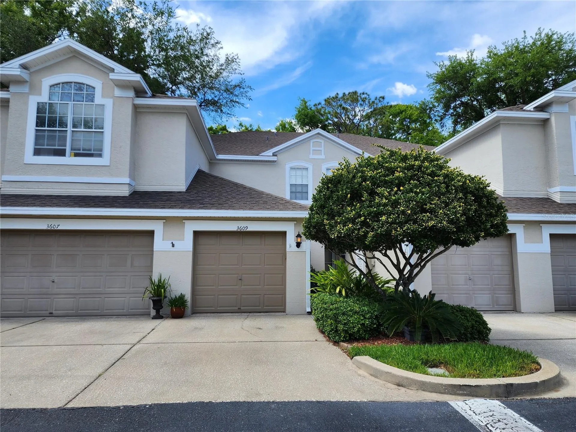 3609 Country Pointe Place Palm Harbor FL 34684