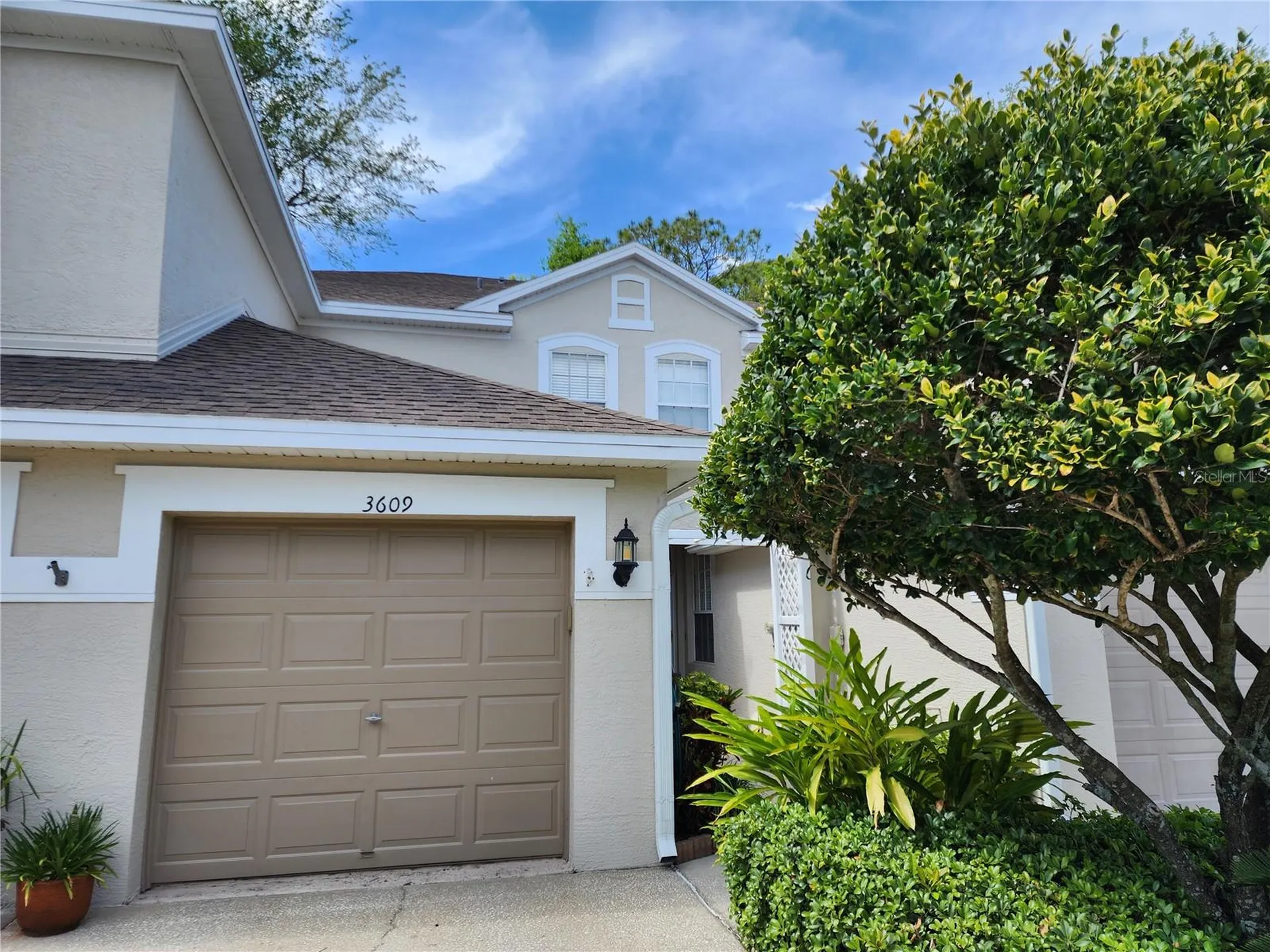 3609 Country Pointe Place Palm Harbor FL 34684