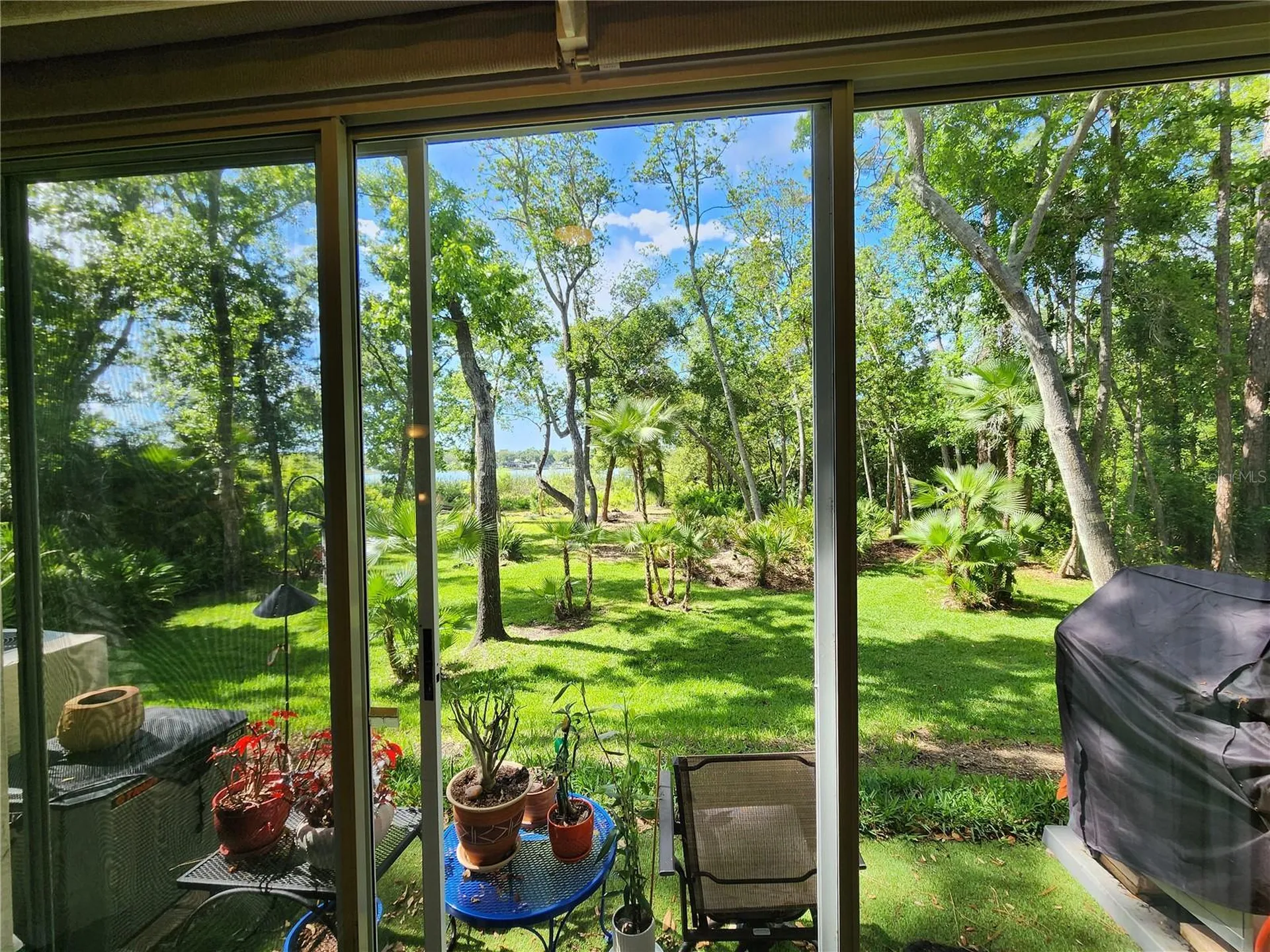 3609 Country Pointe Place Palm Harbor FL 34684