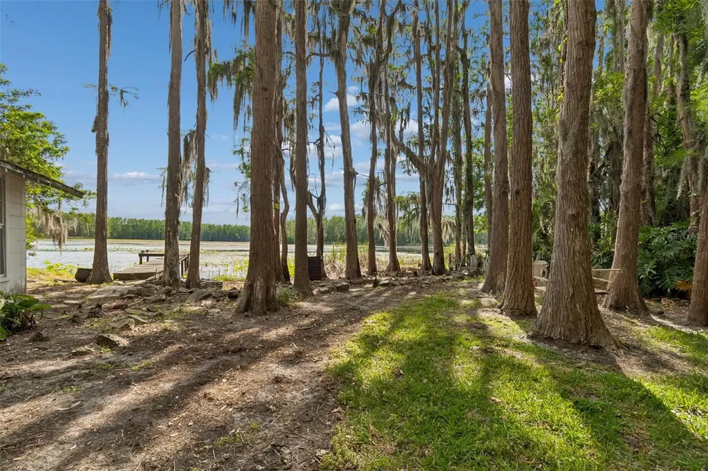 4743 School Road Land O Lakes FL 34638