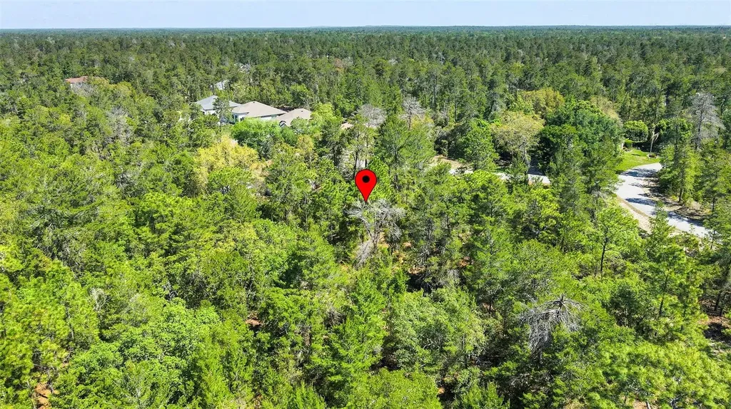 14 Heuchera Court E Homosassa FL 34446
