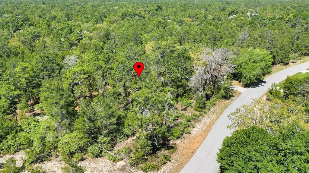 14 Heuchera Court E Homosassa FL 34446