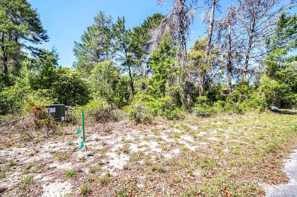 14 Heuchera Court E Homosassa FL 34446