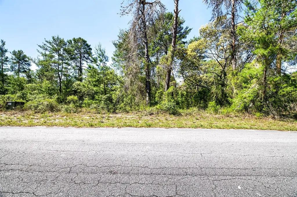 14 Heuchera Court E Homosassa FL 34446