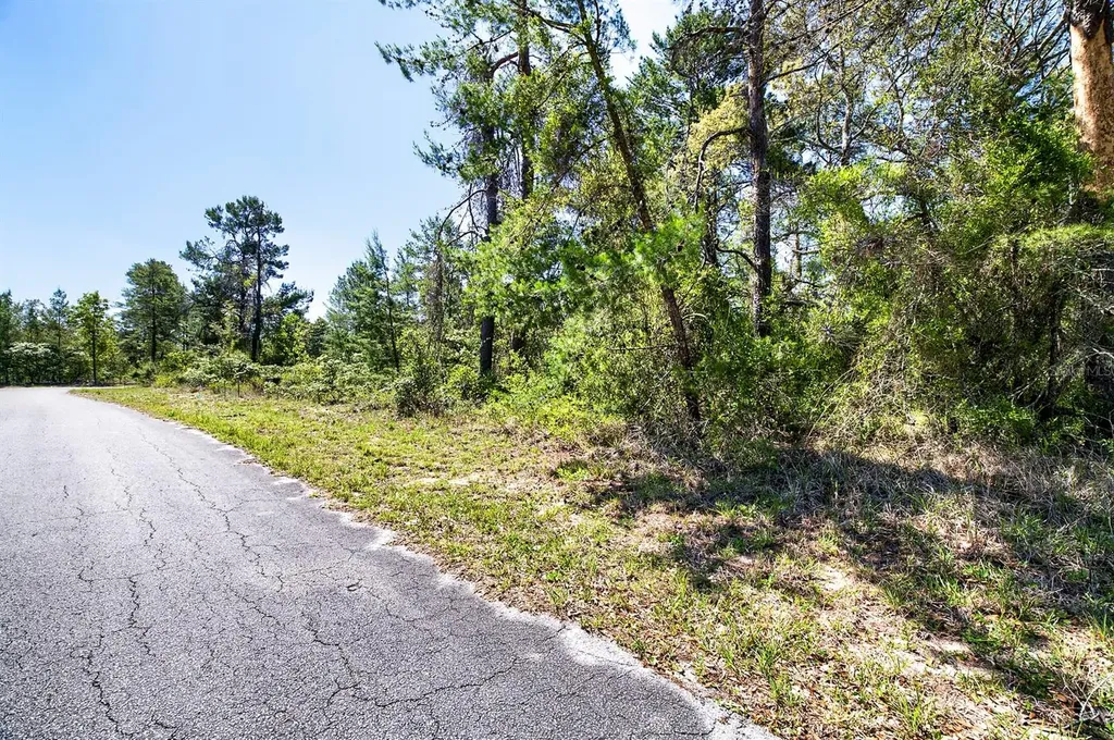 14 Heuchera Court E Homosassa FL 34446