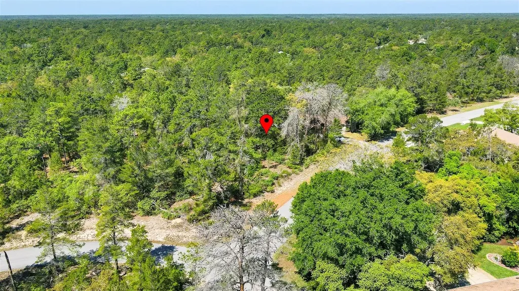14 Heuchera Court E Homosassa FL 34446
