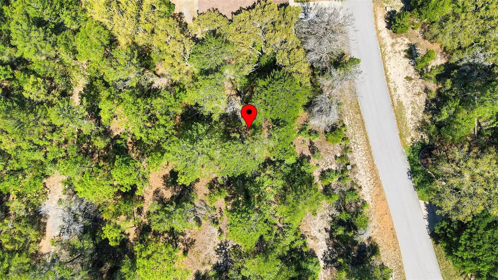 14 Heuchera Court E Homosassa FL 34446