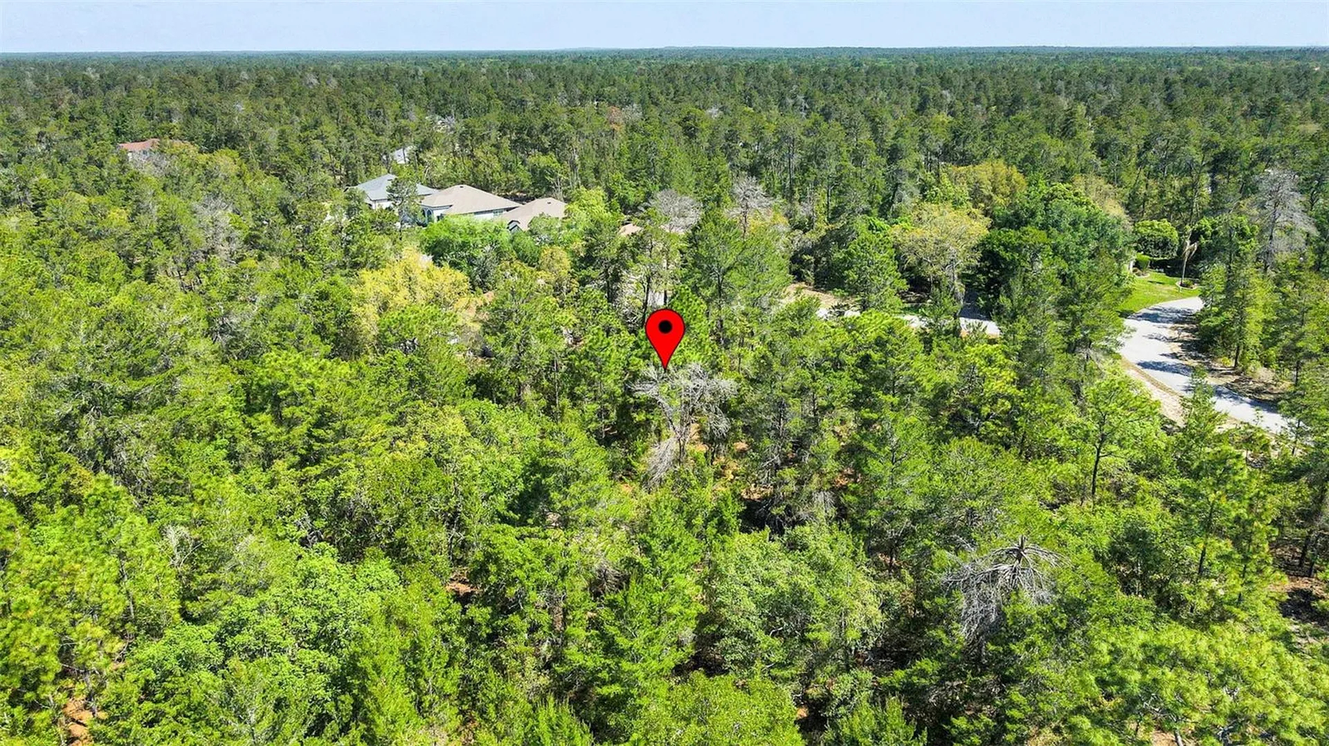 14 Heuchera Court E Homosassa FL 34446
