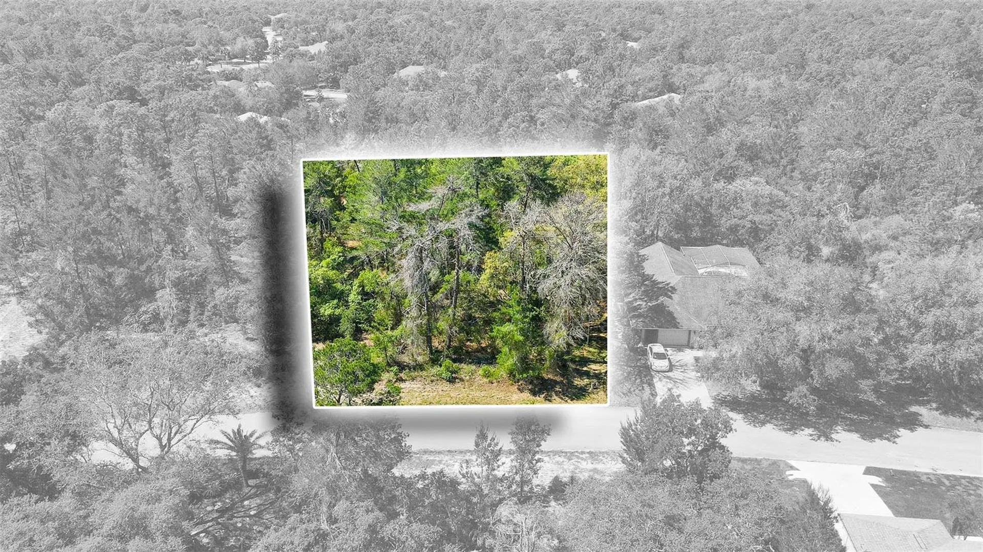 14 Heuchera Court E Homosassa FL 34446
