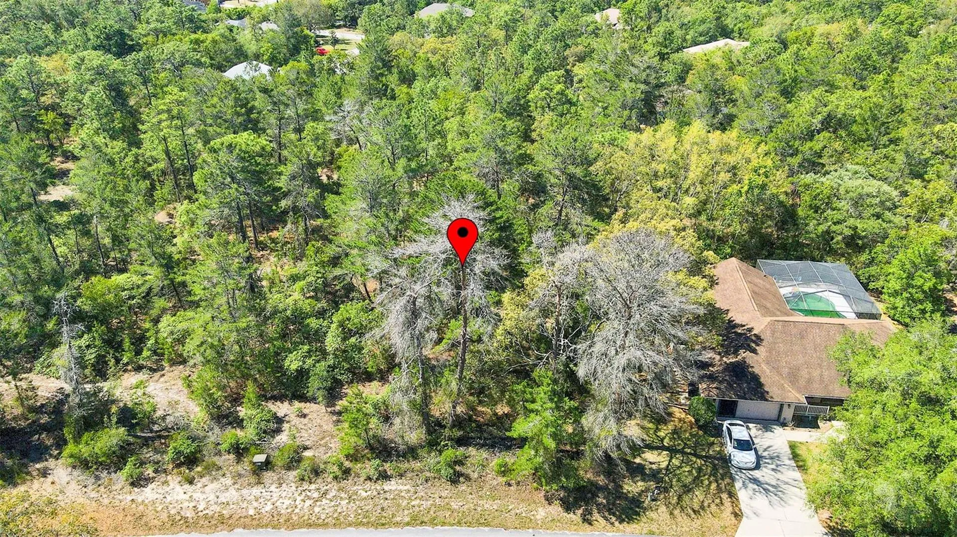 14 Heuchera Court E Homosassa FL 34446