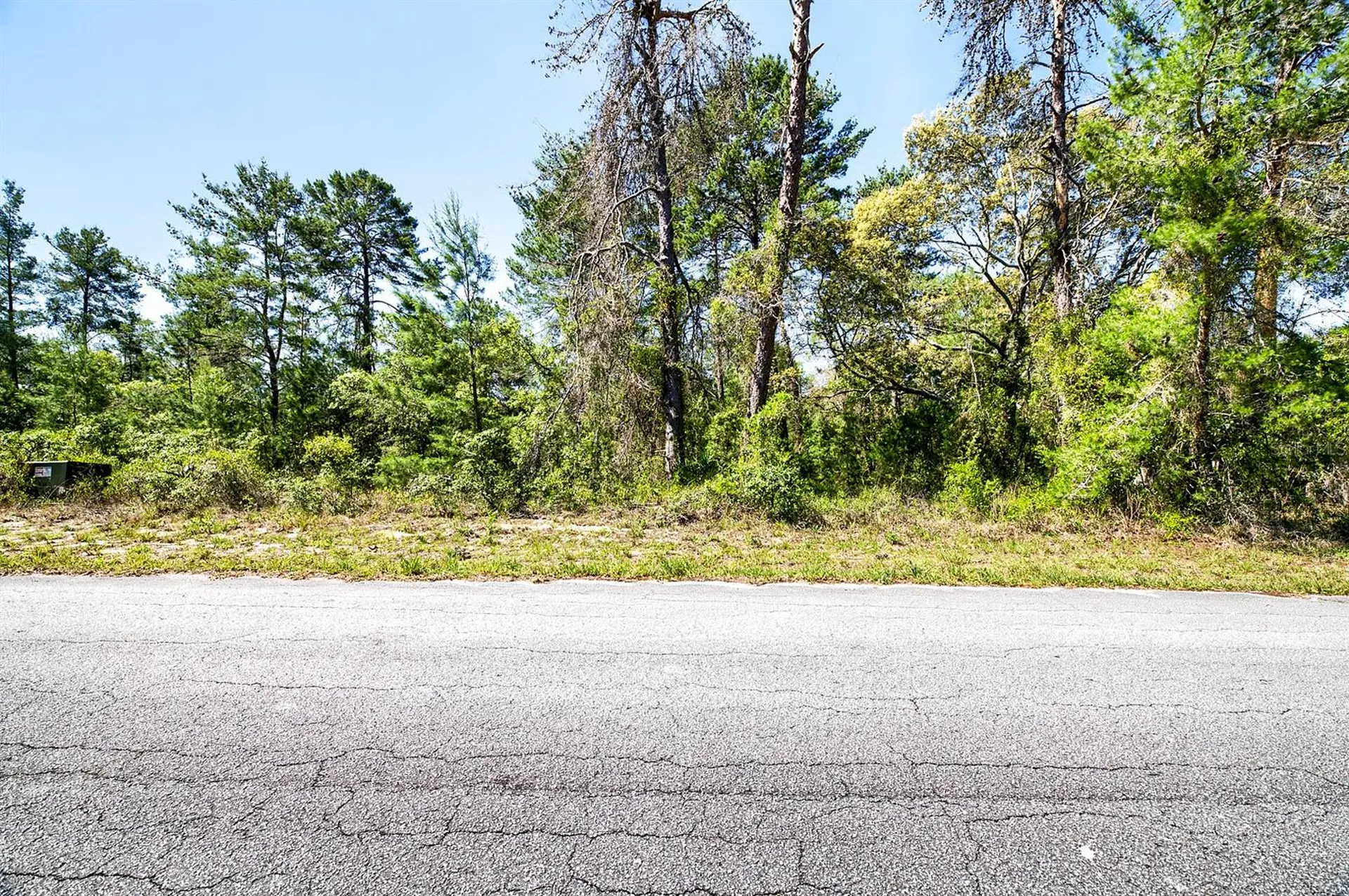 14 Heuchera Court E Homosassa FL 34446
