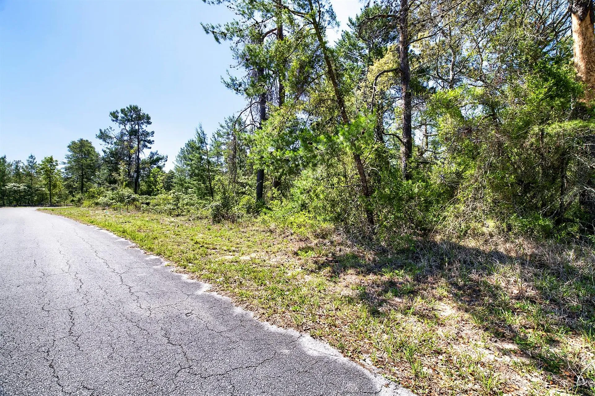 14 Heuchera Court E Homosassa FL 34446