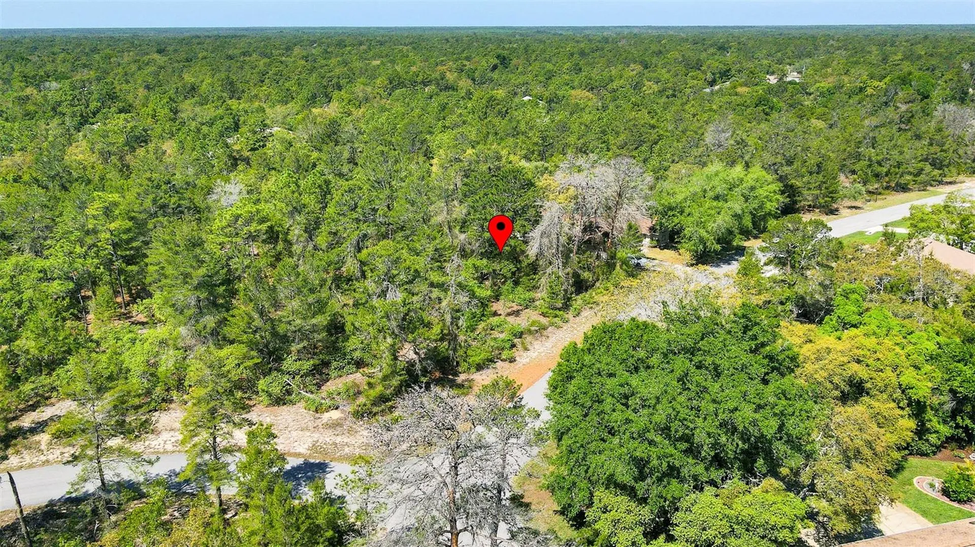 14 Heuchera Court E Homosassa FL 34446