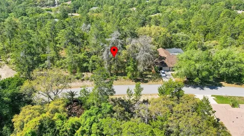 14 Heuchera Court E Homosassa FL 34446