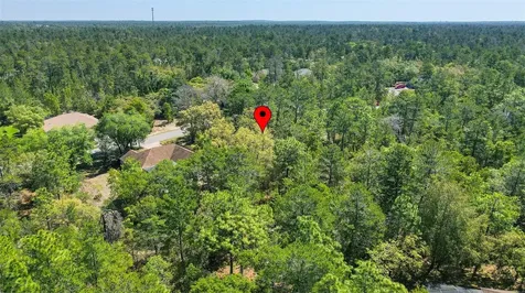 14 Heuchera Court E Homosassa FL 34446