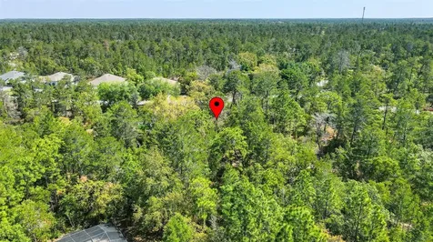 14 Heuchera Court E Homosassa FL 34446